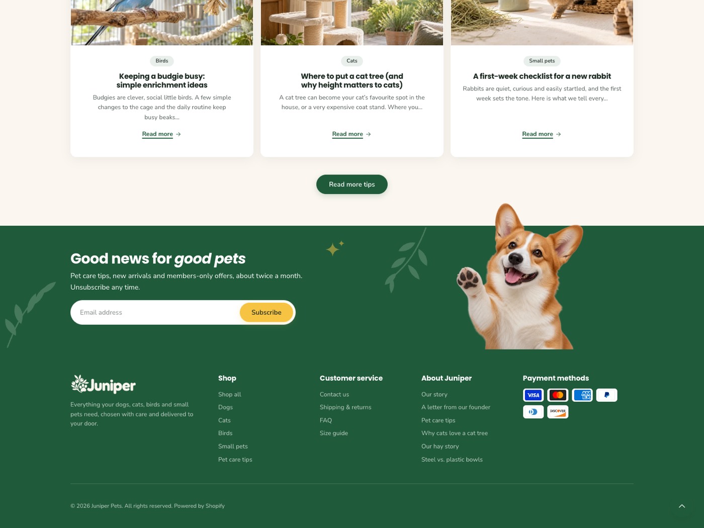 Juniper preset: pet care tips and a green newsletter band with a cut-out corgi above the footer